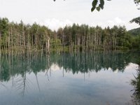 img (67)